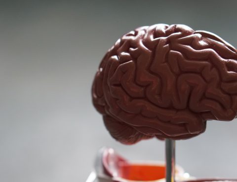 CT Scans and Meningitis