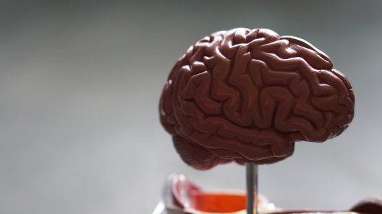 CT Scans and Meningitis