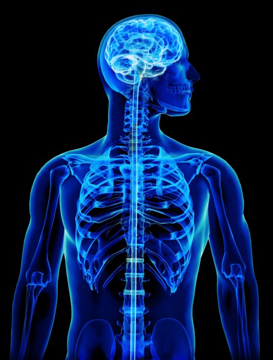 X-Ray, MRI, or CT Scan?