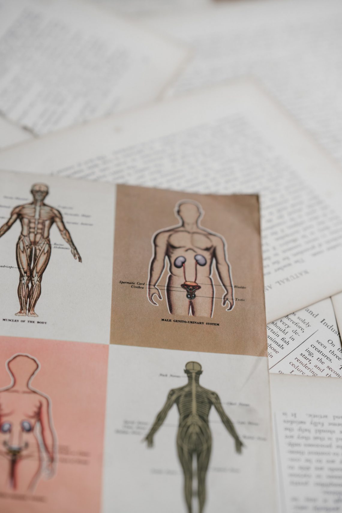 New medical imaging allows better treatment and diagnoses of prostate cancer