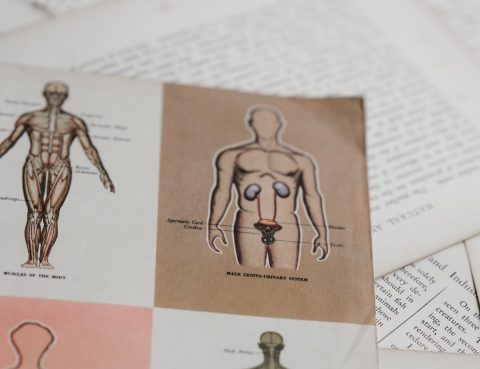 New medical imaging allows better treatment and diagnoses of prostate cancer