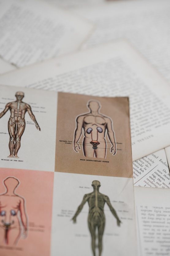New medical imaging allows better treatment and diagnoses of prostate cancer